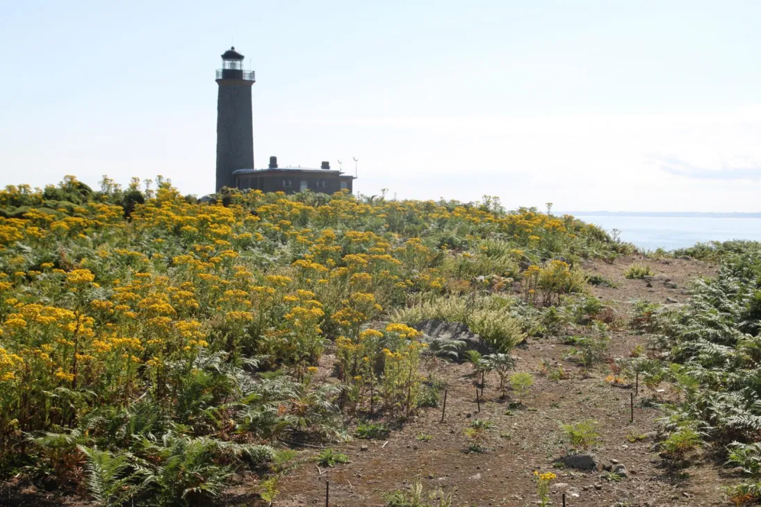 Photo Les Sept-Îles