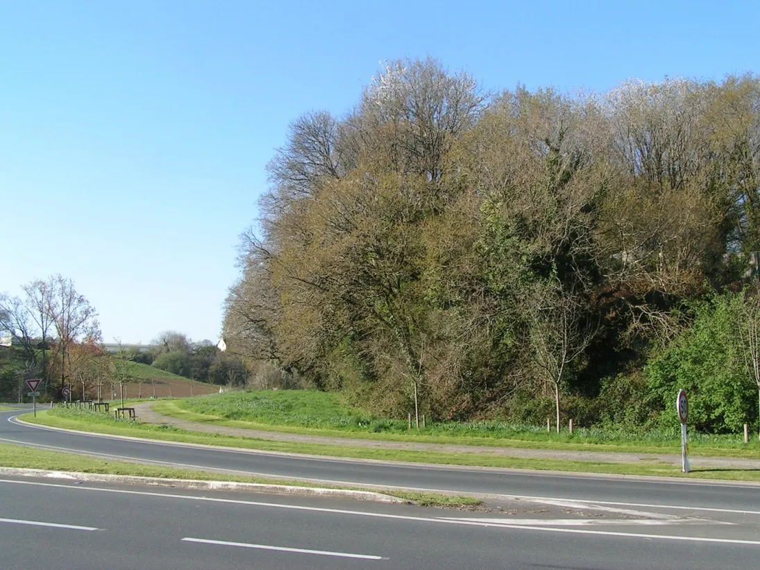 Photo Les paysages de publicité