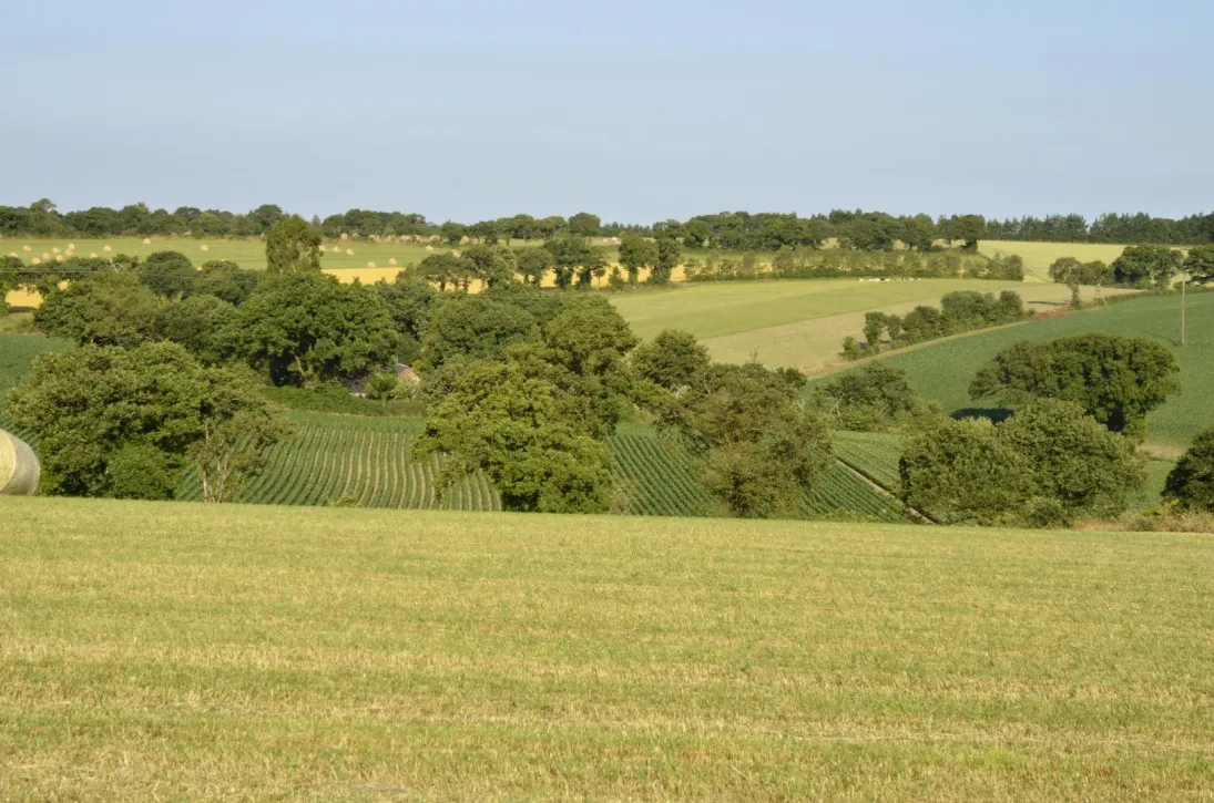 Photo La motte du tertre Langouët