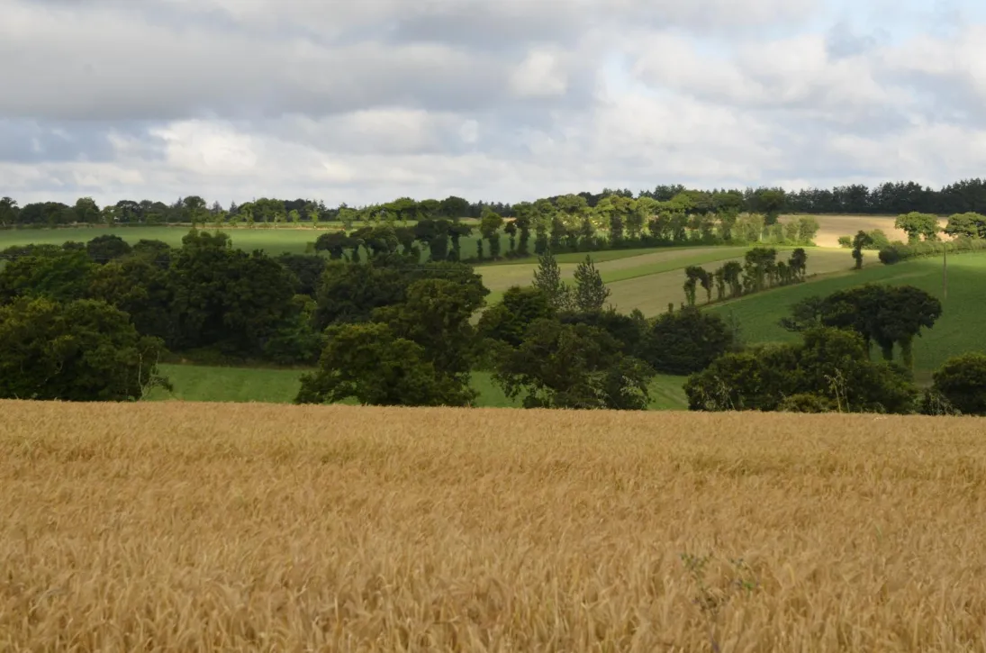 Photo La motte du tertre, Langouët