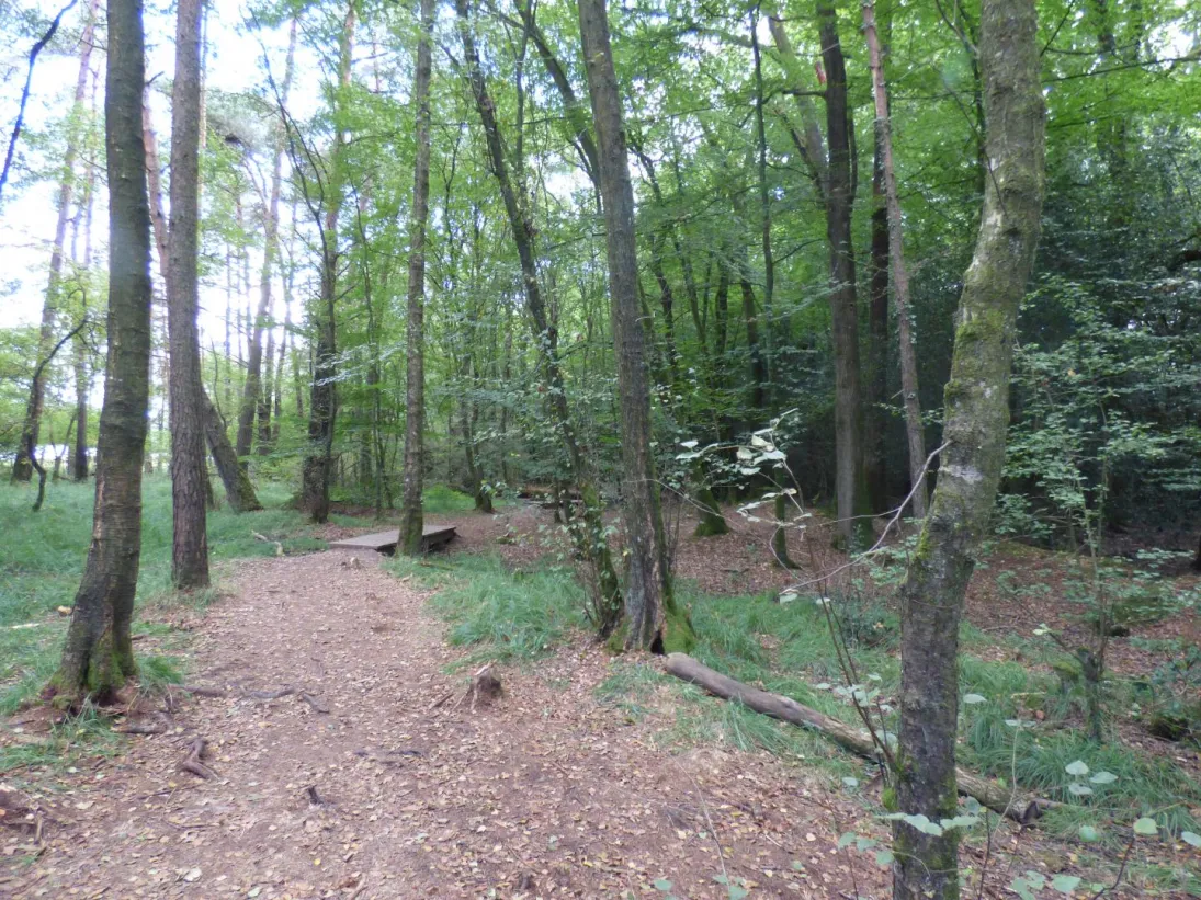 Photo Étang de l’Abbaye à Paimpont 