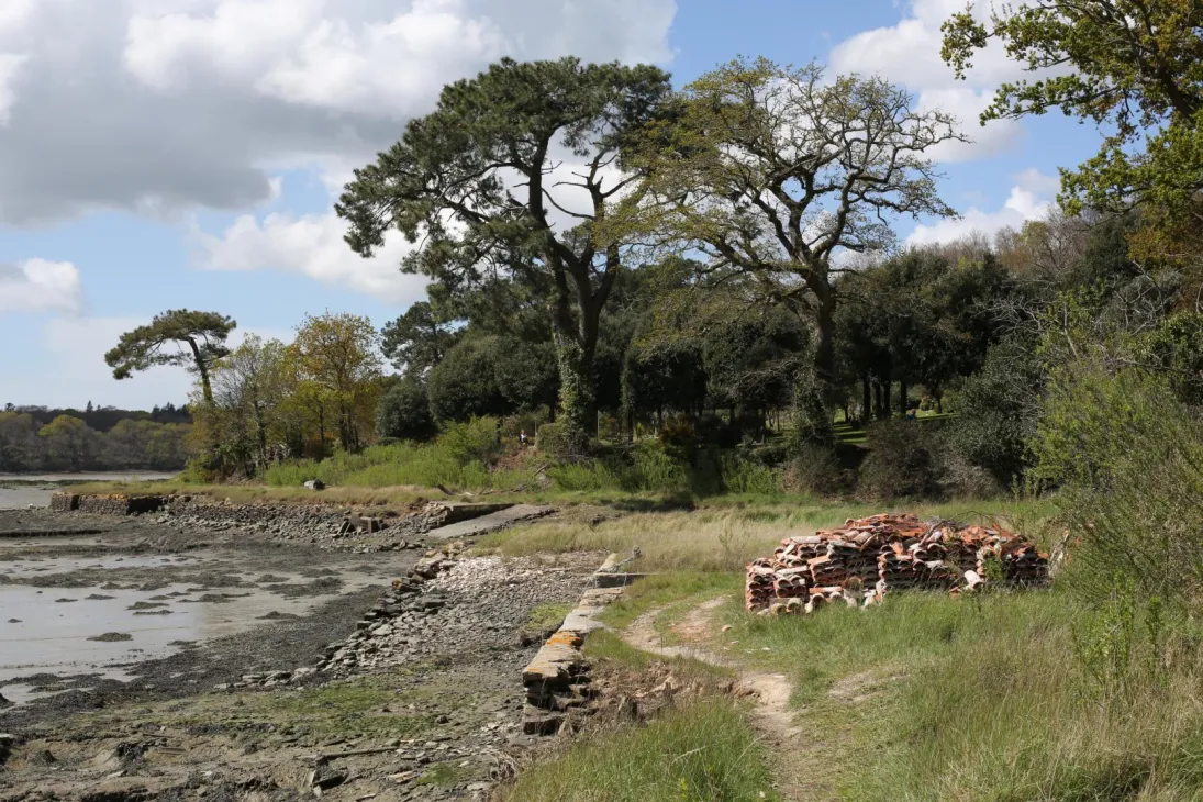 Photo Les terre-pleins ostréicoles à Pluneret