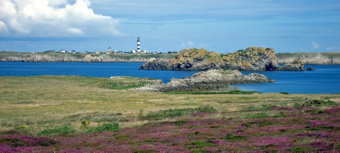 Photo Les landes d'Ouessant