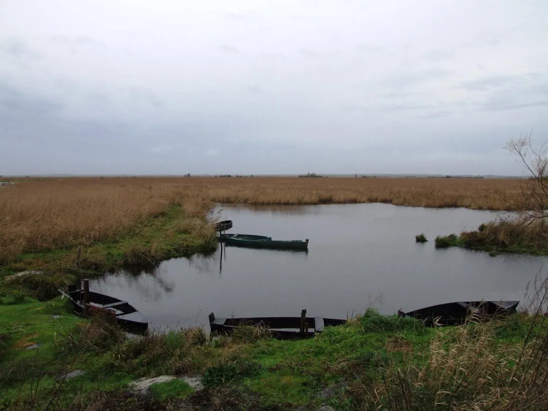 Photo Paysage de zones humides d’eau douce