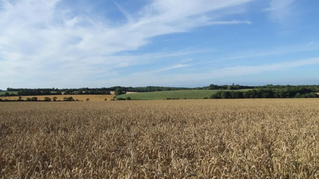 Photo Paysage de bocage à maille élargie 