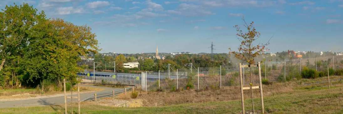 Photo  Bois de La Justice à Cesson-Sévigné