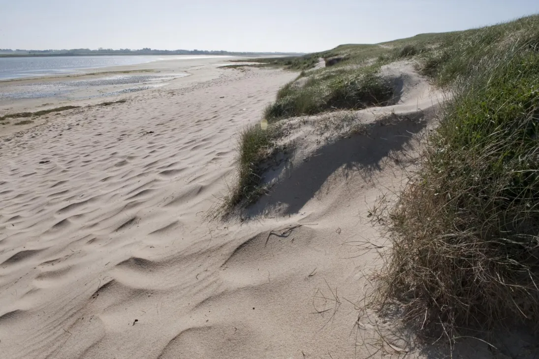 Photo massif dunaire 