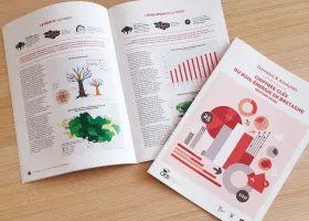 photo brochure bois énergie