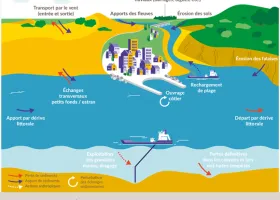 Schéma budget sédimentaire d'une plage