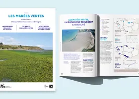 Brochure Les marées vertes en Bretagne édition 2025