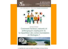 Lettre d'information #17 • Février 2025 