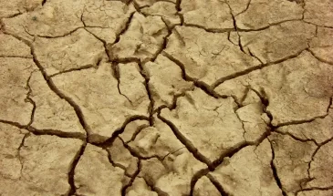 Sol fissuré argileux